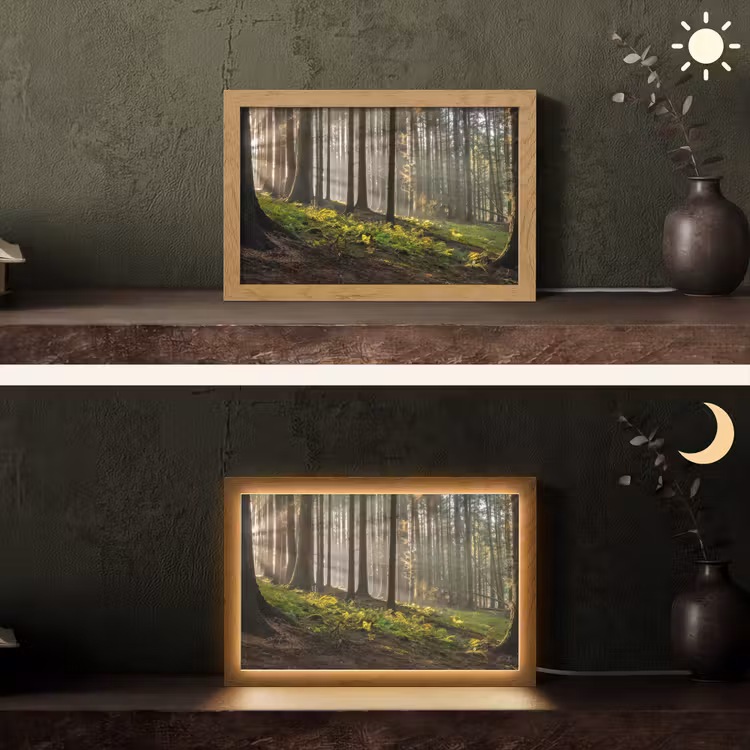 Zon - Takken - Bomen - Bos - Natuur Light Box met kabel (Tafellamp) klein -sfeer3