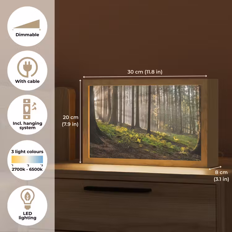 Zon - Takken - Bomen - Bos - Natuur Light Box met kabel (Tafellamp) klein -USP_EN