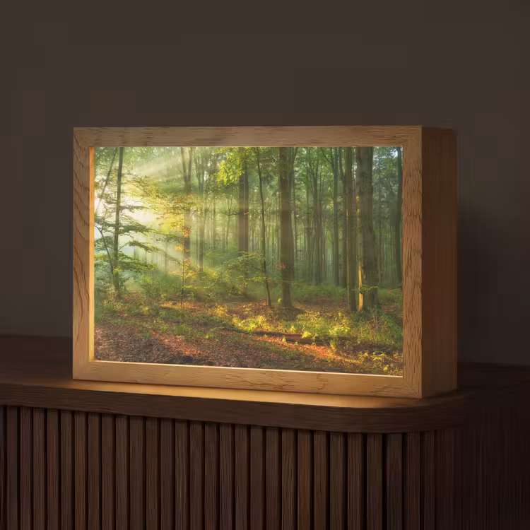 Zon - Bos - Bomen - Natuur - Herfst Light Box met kabel (Tafellamp) klein -z3d_website