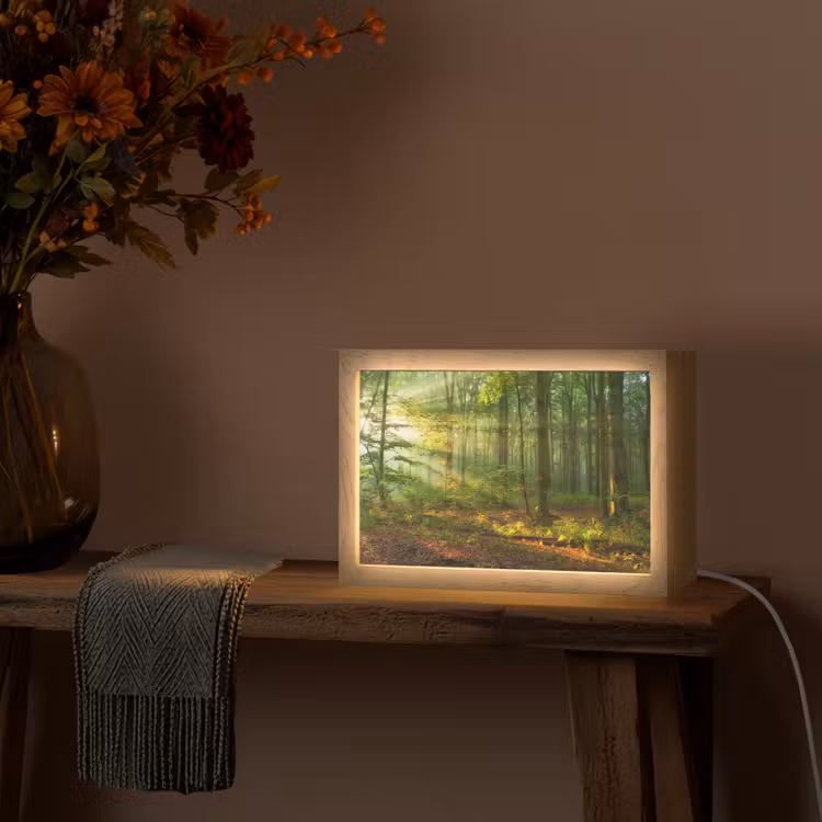 Zon - Bos - Bomen - Natuur - Herfst Light Box met kabel (Tafellamp) klein -sfeer4