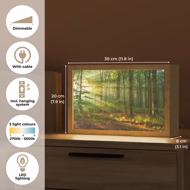 Zon - Bos - Bomen - Natuur - Herfst Light Box met kabel (Tafellamp) klein -USP_EN