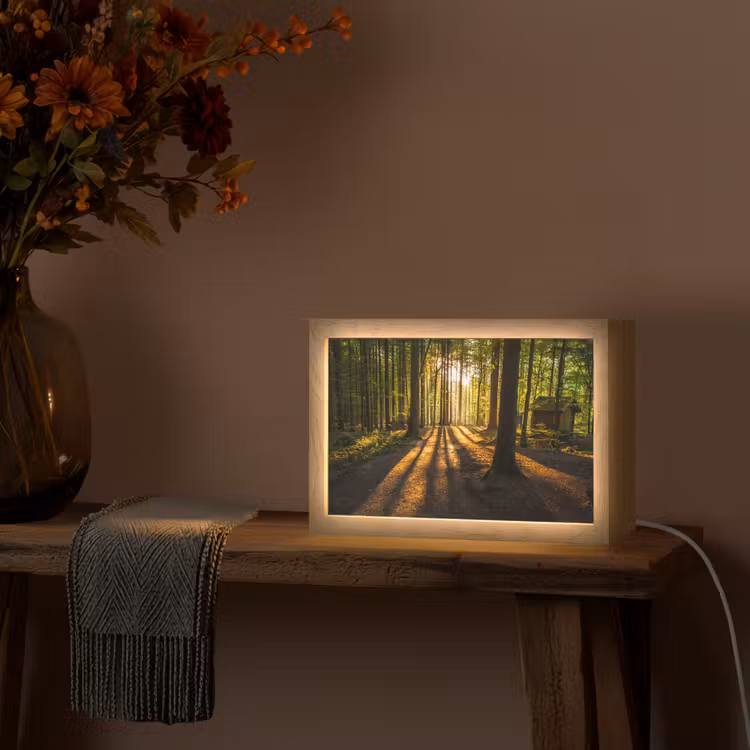 Zon - Bomen - Bos - Landschap - Natuur Light Box met kabel (Tafellamp) klein -sfeer4