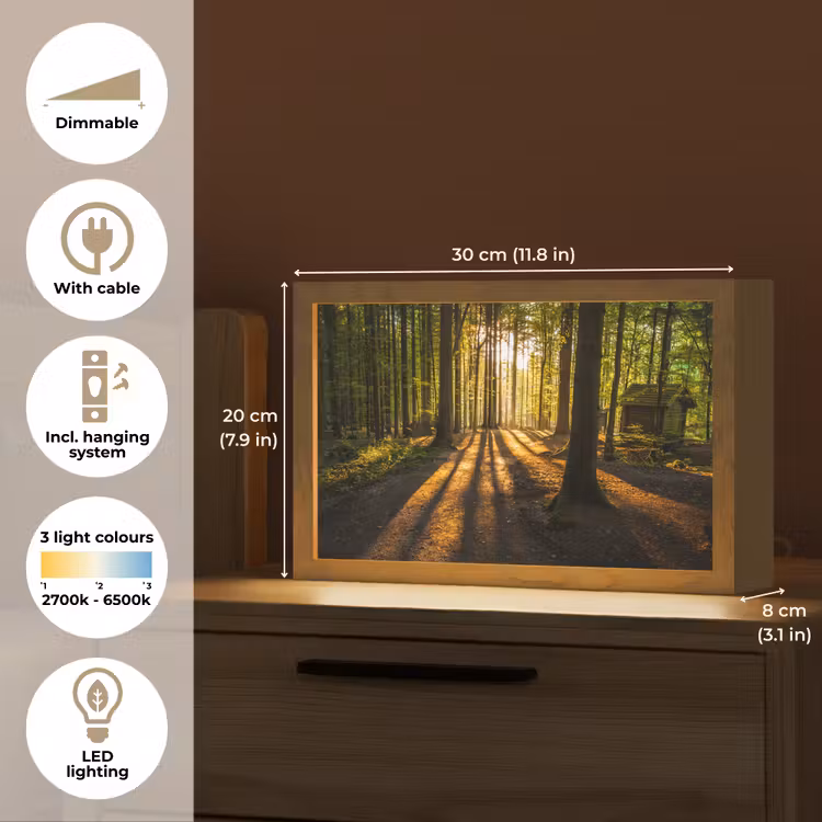 Zon - Bomen - Bos - Landschap - Natuur Light Box met kabel (Tafellamp) klein -USP_EN
