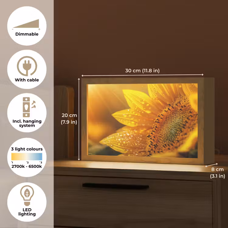Zonnebloem - Dauwdruppels - Geel - Zonlicht Light Box met kabel (Tafellamp) klein -USP_EN