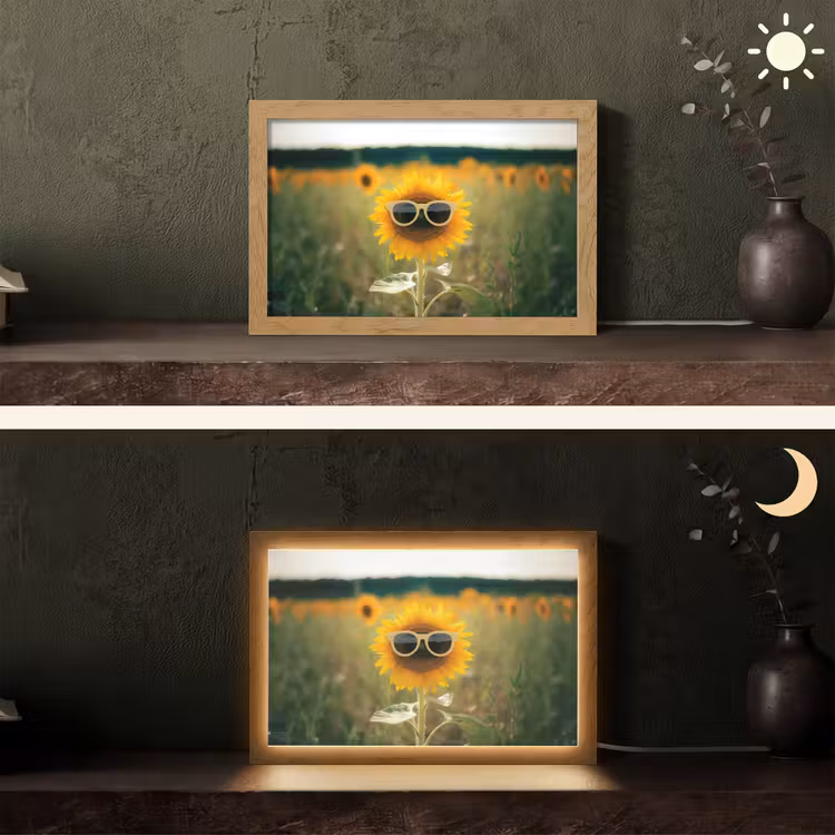 Zonnebloem - Veld - Zonnebril Light Box met kabel (Tafellamp) klein -sfeer3