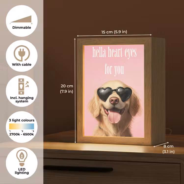 Zonnebril - Hartjes - Hond - Valentijn Light Box met kabel (Tafellamp) klein -USP_EN