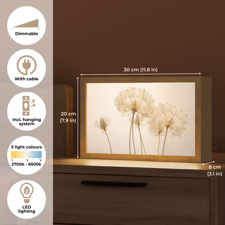 Zonlicht - Paardenbloem - Botanisch - Bloemen Light Box met kabel (Tafellamp) klein -USP_EN