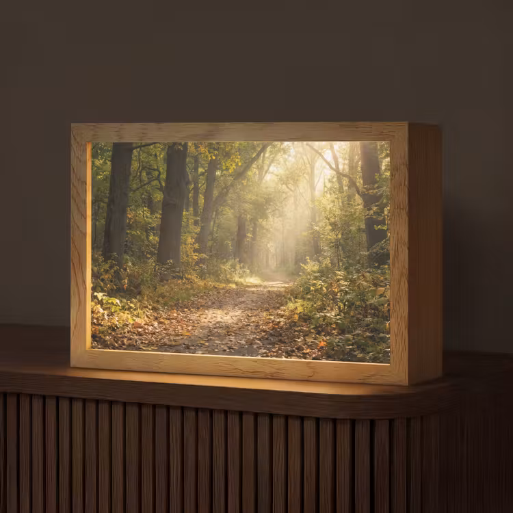 Zonlicht - Bospad - Bomen Light Box met kabel (Tafellamp) klein -z3d_website