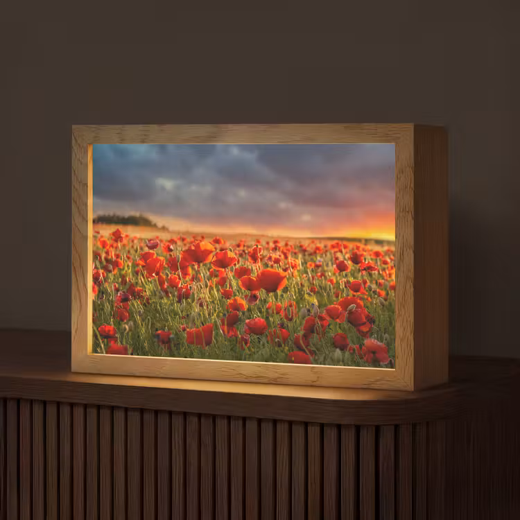 Zonsondergang - Klaprozen - Rood - Bloemen - Veld - Natuur Light Box met kabel (Tafellamp) klein -z3d_website