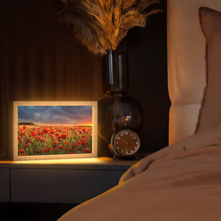 Zonsondergang - Klaprozen - Rood - Bloemen - Veld - Natuur Light Box met kabel (Tafellamp) klein -sfeer1