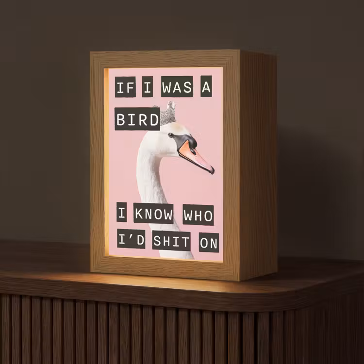 Zwaan - Vogel - Decoratie - Roze Light Box met kabel (Tafellamp) klein -z3d_website