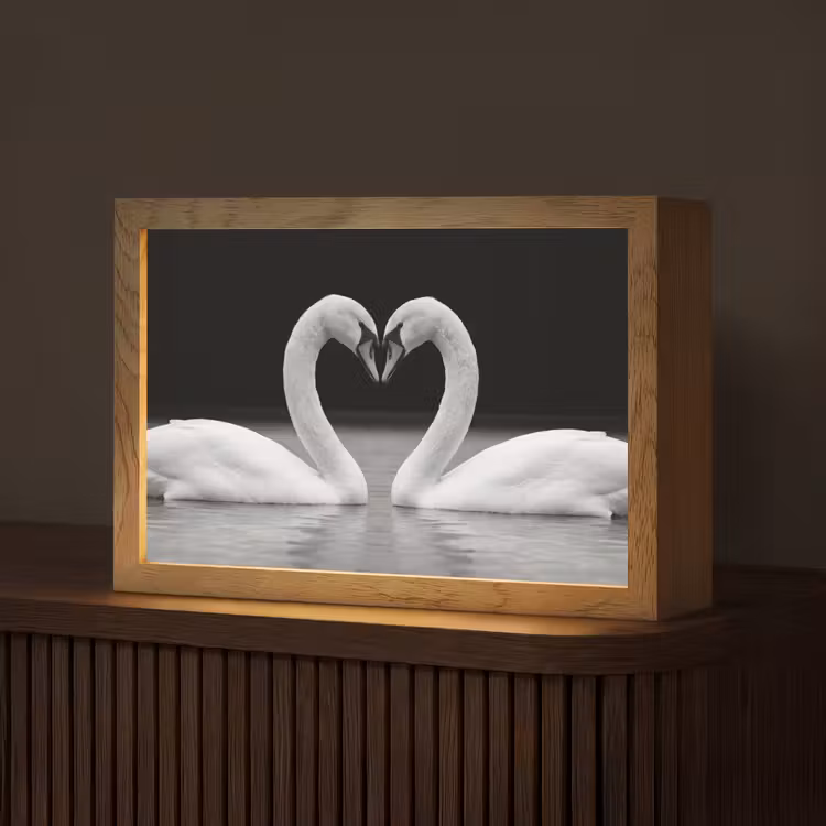 Zwanen - Hart - Zwart - Wit Light Box met kabel (Tafellamp) klein -z3d_website