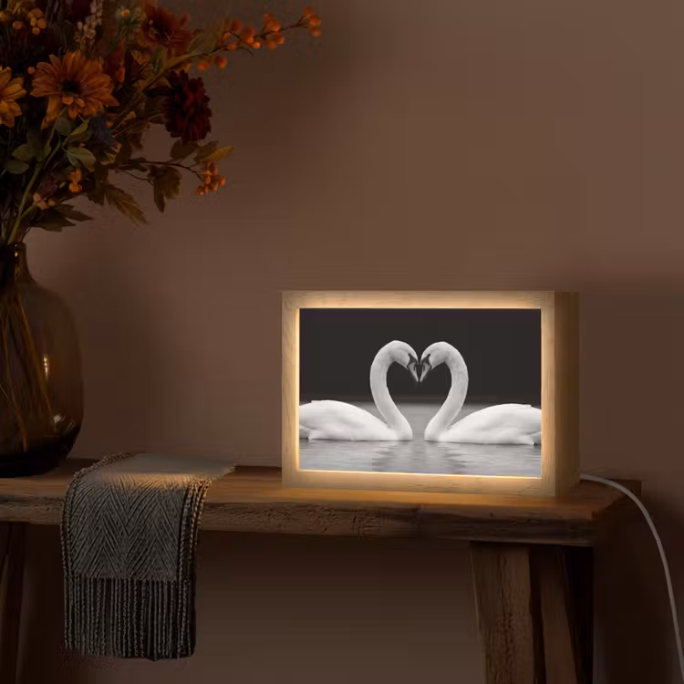 Zwanen - Hart - Zwart - Wit Light Box met kabel (Tafellamp) klein -sfeer4