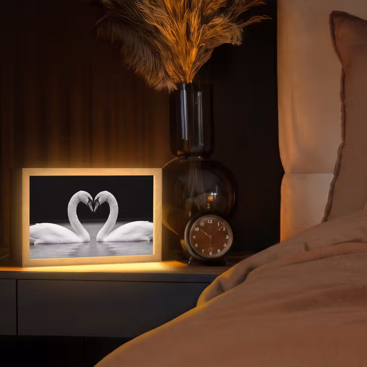 Zwanen - Hart - Zwart - Wit Light Box met kabel (Tafellamp) klein -sfeer1