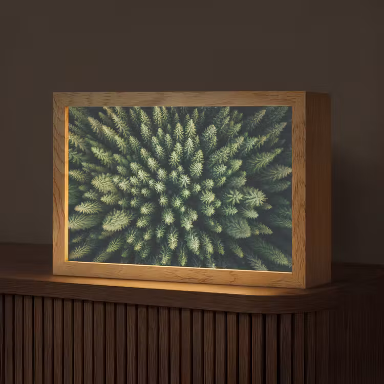 Bomen - Naaldwoud - Structuur Light Box met kabel (Tafellamp) klein -z3d_website