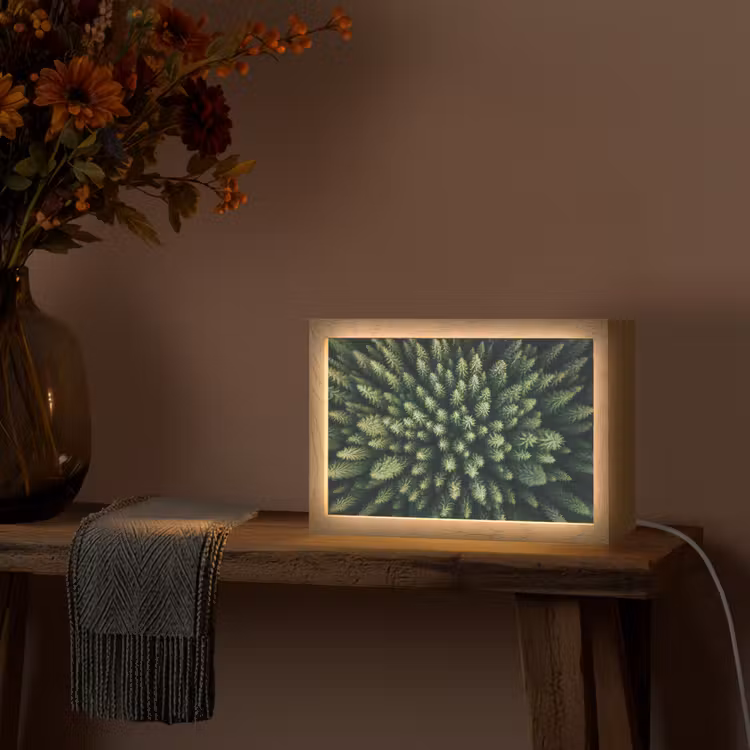 Bomen - Naaldwoud - Structuur Light Box met kabel (Tafellamp) klein -sfeer4