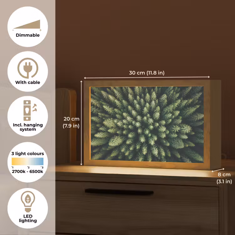 Bomen - Naaldwoud - Structuur Light Box met kabel (Tafellamp) klein -USP_EN