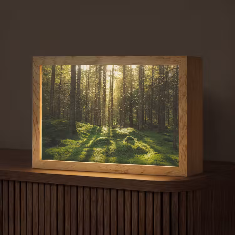 Bomen - Bos - Mos - Planten - Zon - Natuur Light Box met kabel (Tafellamp) klein -z3d_website