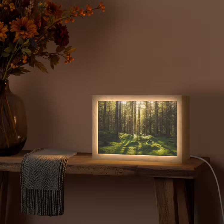 Bomen - Bos - Mos - Planten - Zon - Natuur Light Box met kabel (Tafellamp) klein -sfeer4