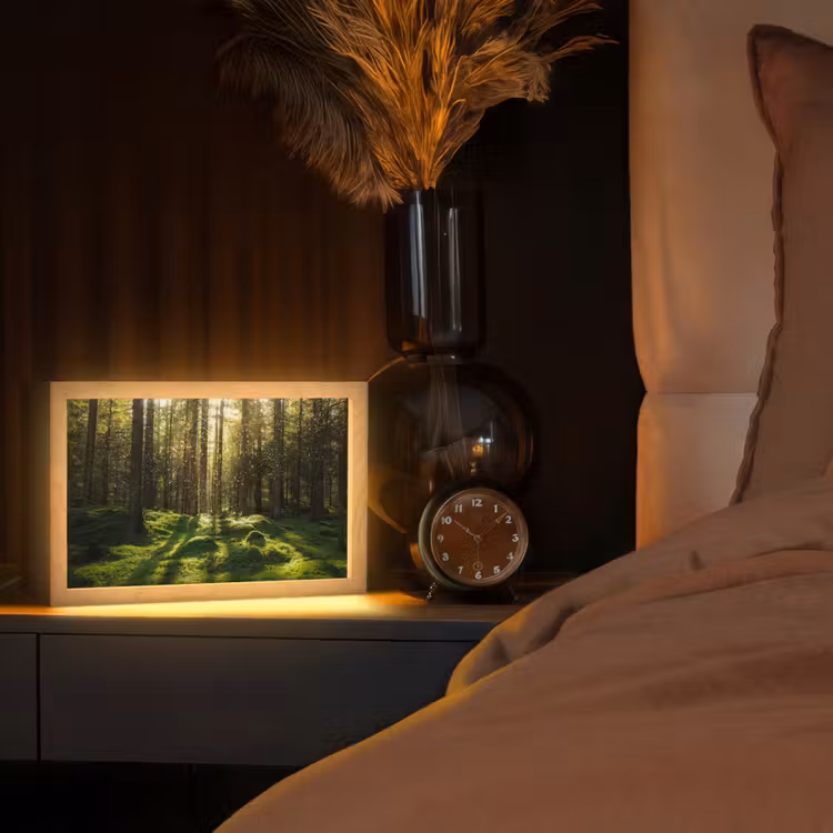 Bomen - Bos - Mos - Planten - Zon - Natuur Light Box met kabel (Tafellamp) klein -sfeer1