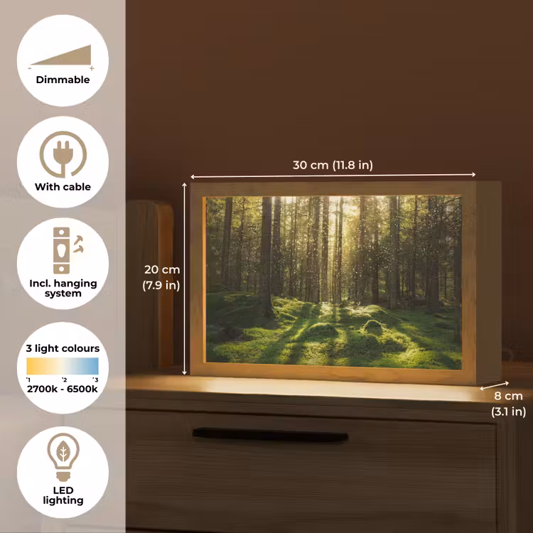 Bomen - Bos - Mos - Planten - Zon - Natuur Light Box met kabel (Tafellamp) klein -USP_EN