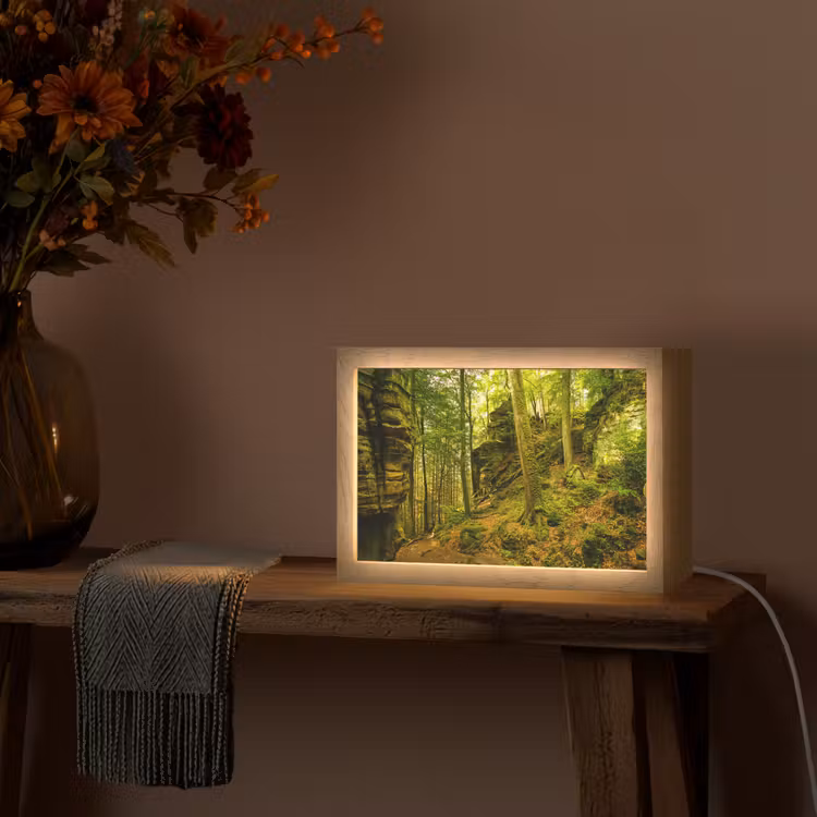 Bomen - Steen - Bos - Natuur - Planten Light Box met kabel (Tafellamp) klein -sfeer4