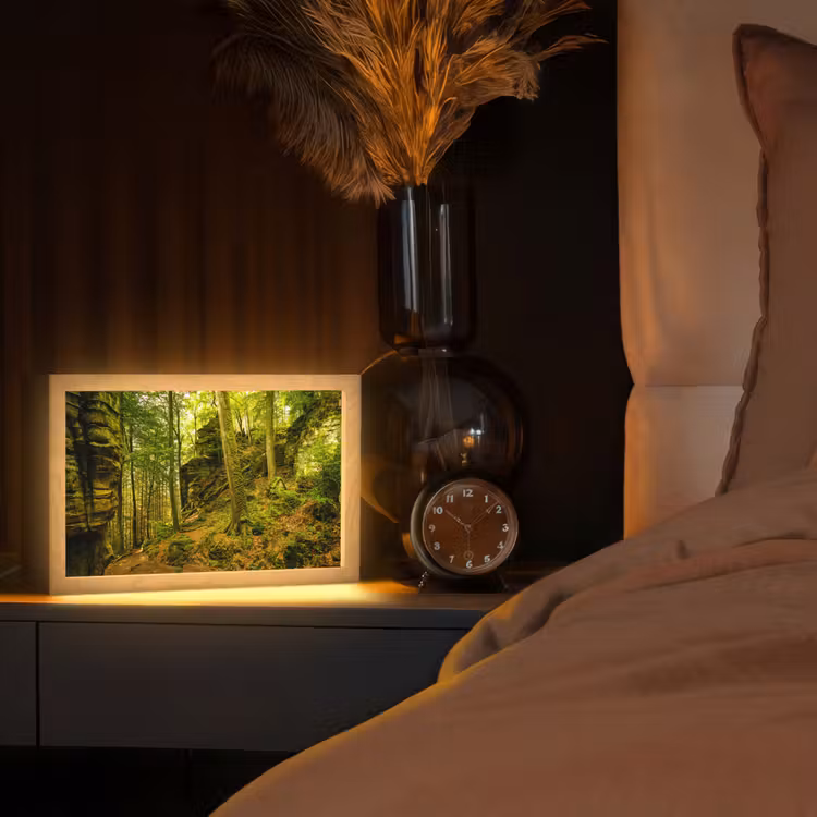Bomen - Steen - Bos - Natuur - Planten Light Box met kabel (Tafellamp) klein -sfeer1