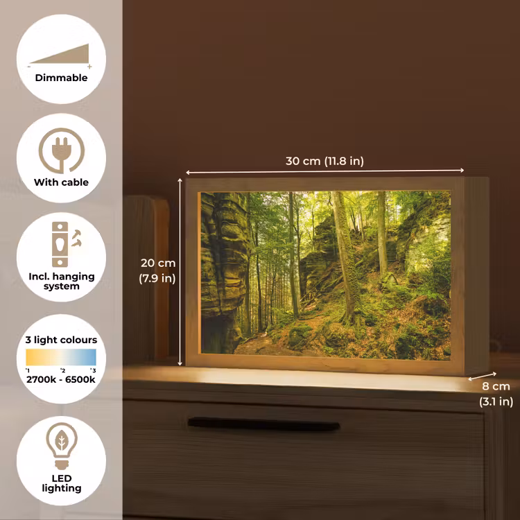 Bomen - Steen - Bos - Natuur - Planten Light Box met kabel (Tafellamp) klein -USP_EN
