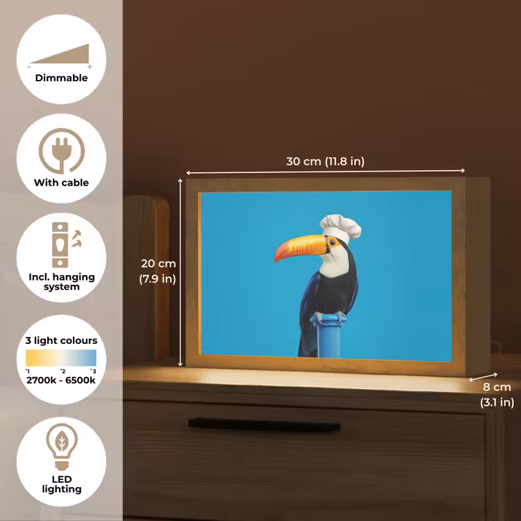 Tucan - Sokkel - Vogel - Koksmuts Light Box met kabel (Tafellamp) klein -USP_EN