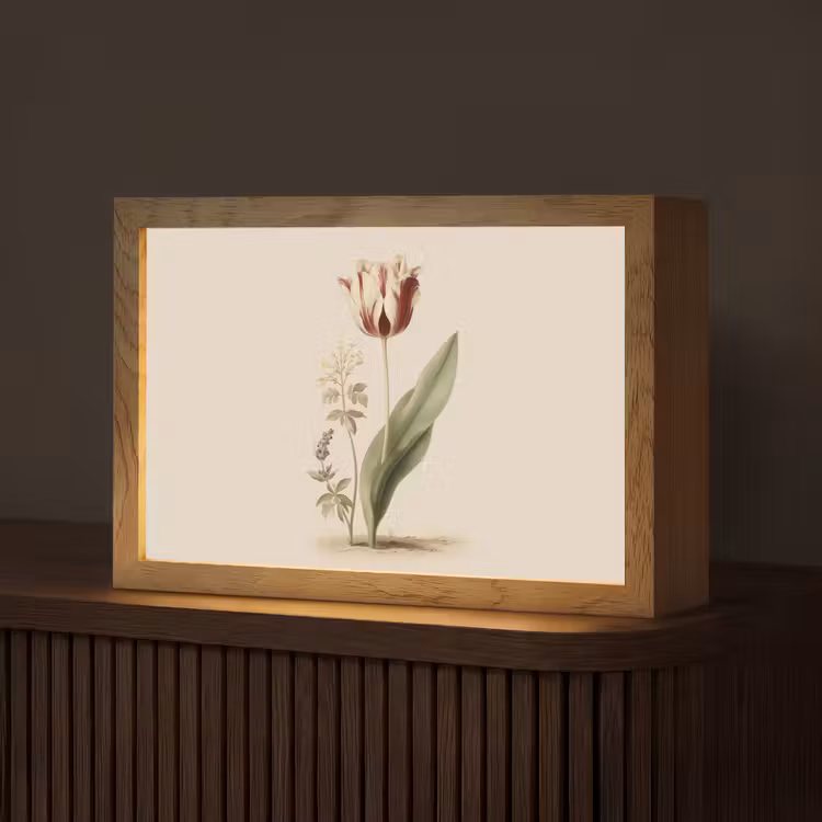 Tulp - Minimalistisch - Beige Light Box met kabel (Tafellamp) klein -z3d_website