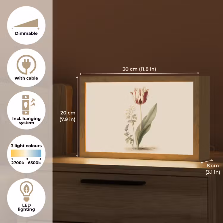 Tulp - Minimalistisch - Beige Light Box met kabel (Tafellamp) klein -USP_EN