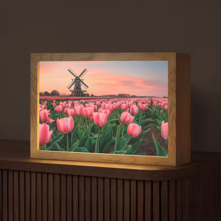 Tulpen - Molen - Nederland Light Box met kabel (Tafellamp) klein -z3d_website