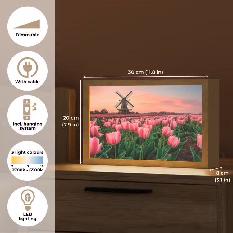 Tulpen - Molen - Nederland Light Box met kabel (Tafellamp) klein -USP_EN
