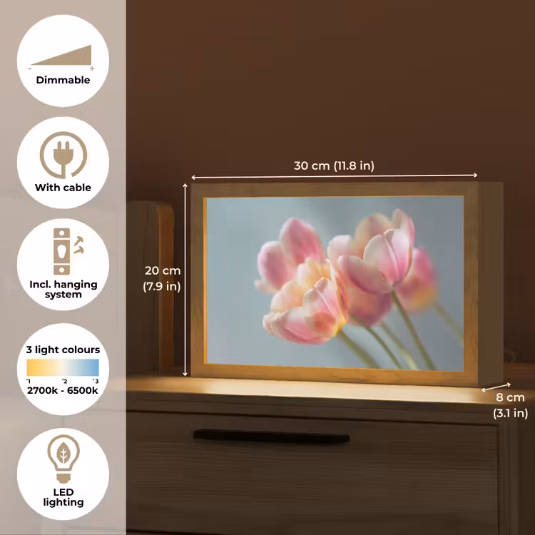 Tulpen - Roze - Stelen Light Box met kabel (Tafellamp) klein -USP_EN