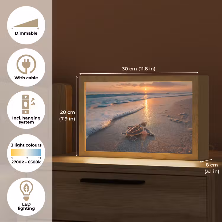 Schildpad - strand - Zonsondergang Light Box met kabel (Tafellamp) klein -USP_EN