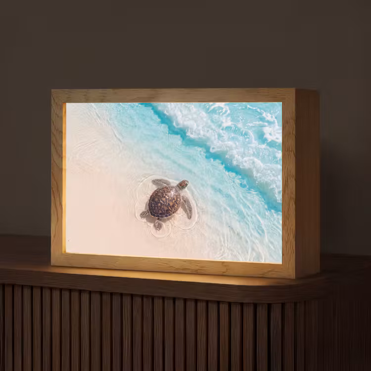 Schildpad - Helder water - Strand - Dieren - Natuur Light Box met kabel (Tafellamp) klein -z3d_website