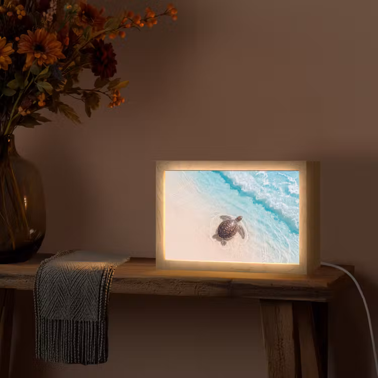 Schildpad - Helder water - Strand - Dieren - Natuur Light Box met kabel (Tafellamp) klein -sfeer4