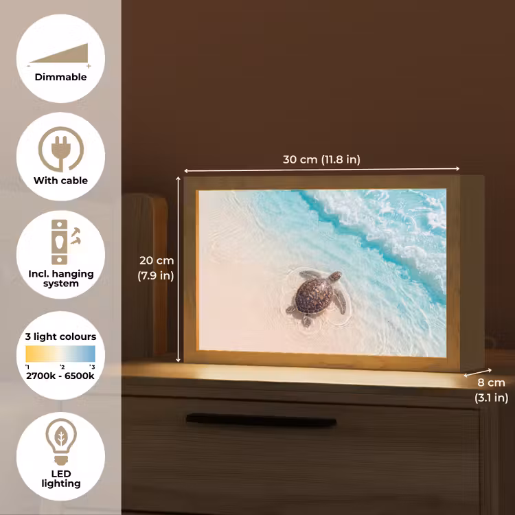 Schildpad - Helder water - Strand - Dieren - Natuur Light Box met kabel (Tafellamp) klein -USP_EN