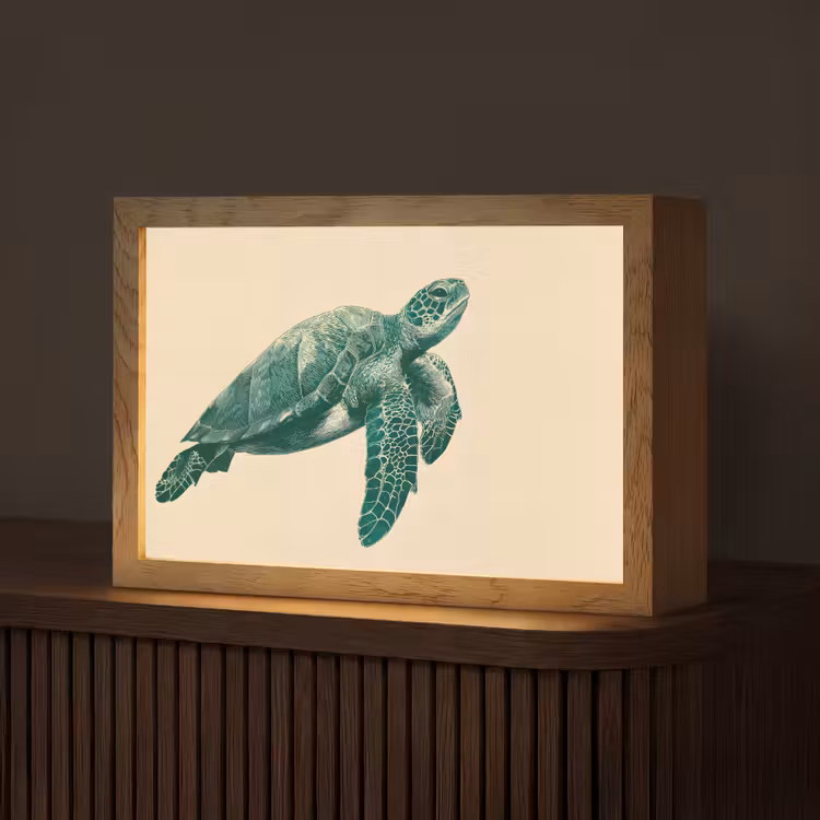 Schildpad - Sierlijk - Groen - Schild Light Box met kabel (Tafellamp) klein -z3d_website