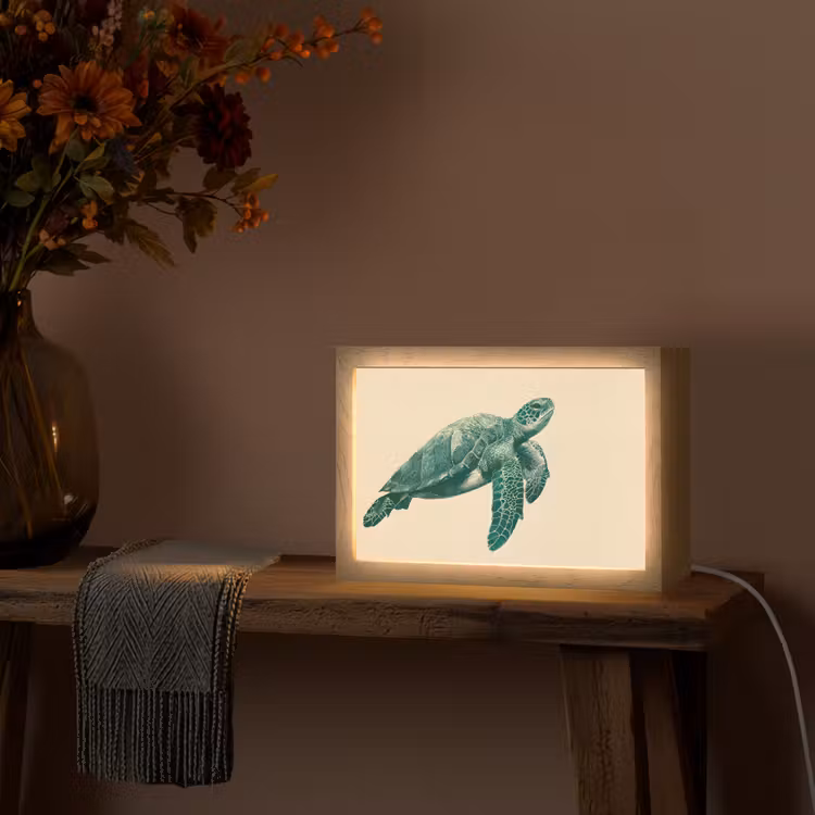 Schildpad - Sierlijk - Groen - Schild Light Box met kabel (Tafellamp) klein -sfeer4