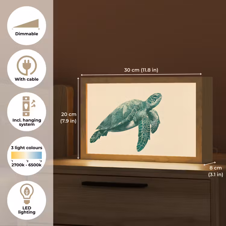 Schildpad - Sierlijk - Groen - Schild Light Box met kabel (Tafellamp) klein -USP_EN