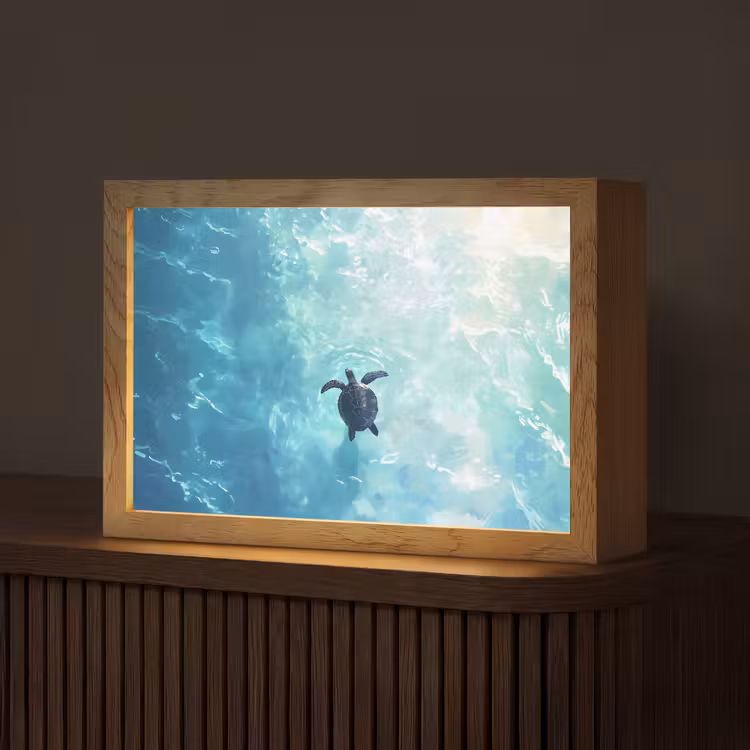 Schildpad - Zee - Blauw - Schittering Light Box met kabel (Tafellamp) klein -z3d_website