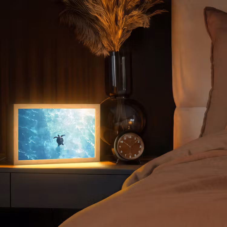 Schildpad - Zee - Blauw - Schittering Light Box met kabel (Tafellamp) klein -sfeer1