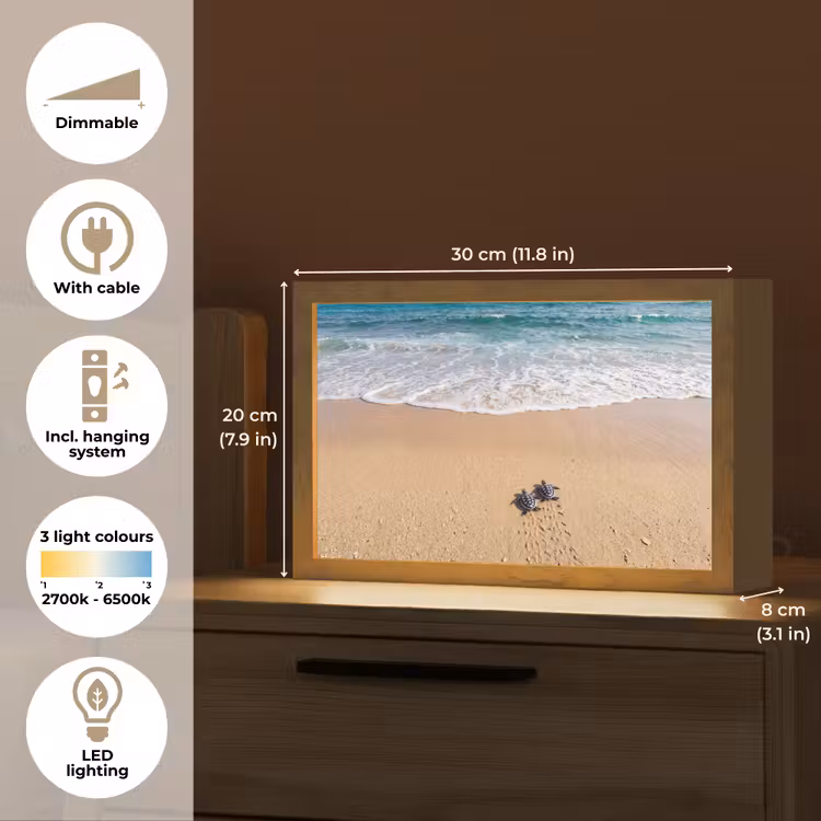 Schildpad - Jong - Strand - Oceaan - Blauw Light Box met kabel (Tafellamp) klein -USP_EN