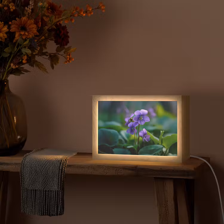 Viooltjes - Paars - Bloem - Bladeren Light Box met kabel (Tafellamp) klein -sfeer4