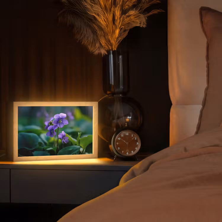 Viooltjes - Paars - Bloem - Bladeren Light Box met kabel (Tafellamp) klein -sfeer1