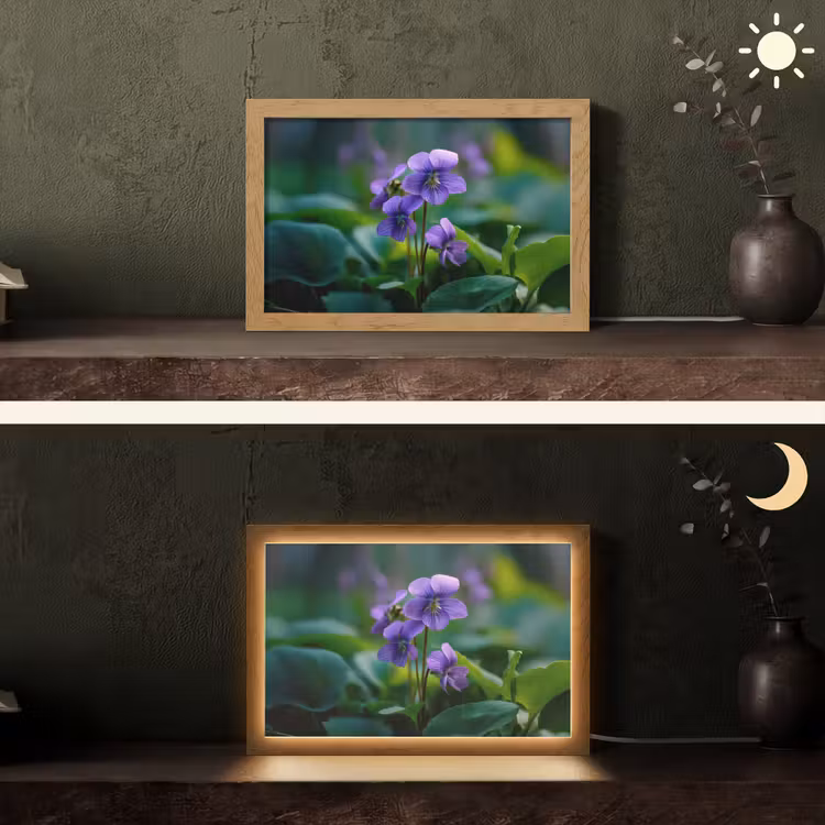 Viooltjes - Paars - Bloem - Bladeren Light Box met kabel (Tafellamp) klein -sfeer3
