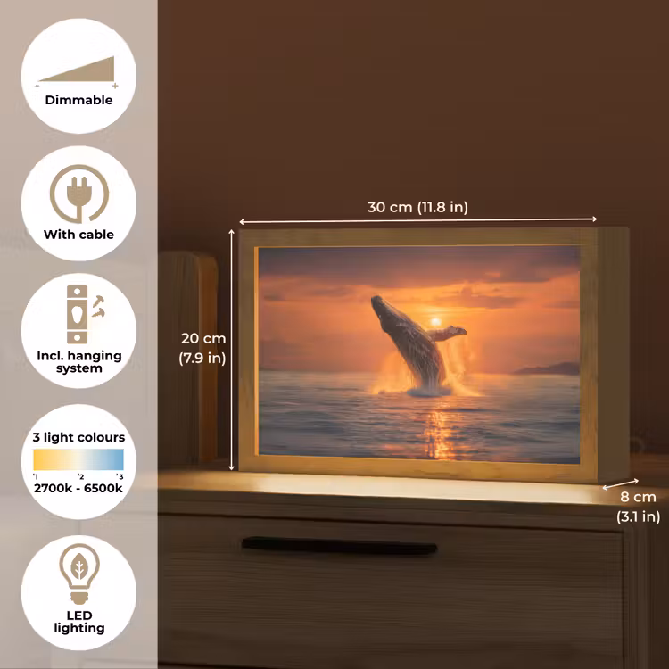 Walvis - Zon - Zee Light Box met kabel (Tafellamp) klein -USP_EN