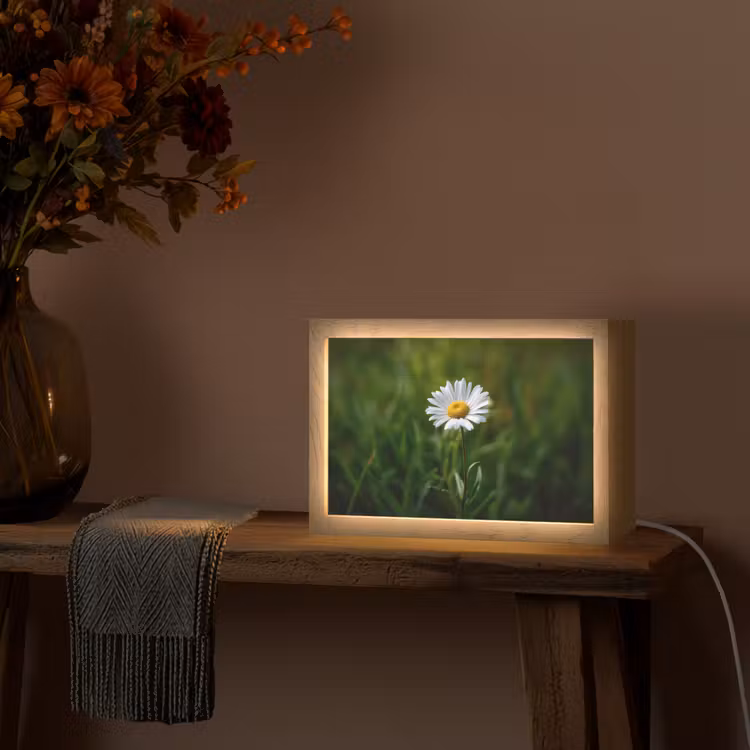 Wit - Madeliefje - Bloem - Gras Light Box met kabel (Tafellamp) klein -sfeer4