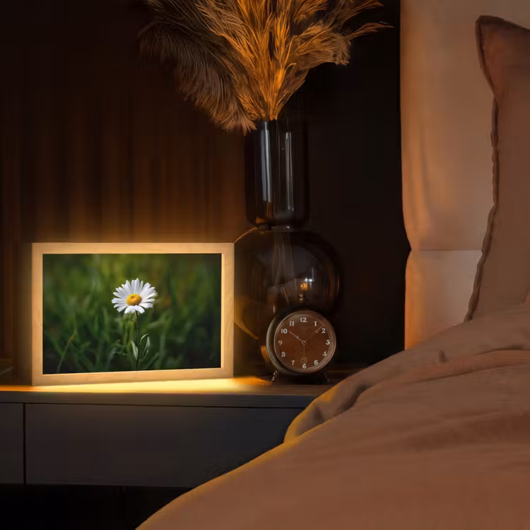 Wit - Madeliefje - Bloem - Gras Light Box met kabel (Tafellamp) klein -sfeer1